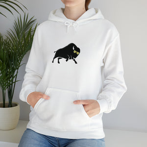 Colorado Hoodie